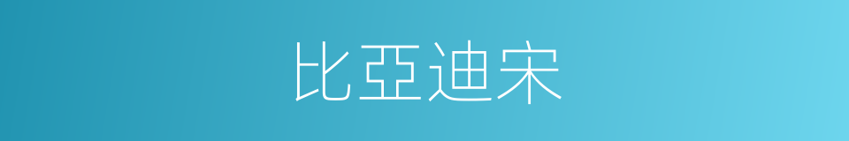 比亞迪宋的同義詞