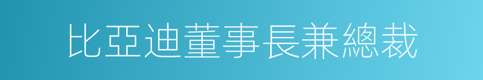 比亞迪董事長兼總裁的同義詞