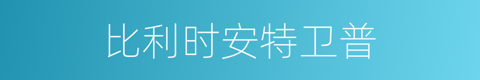 比利时安特卫普的同义词