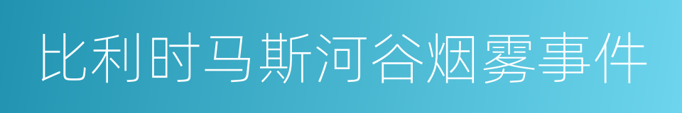 比利时马斯河谷烟雾事件的同义词
