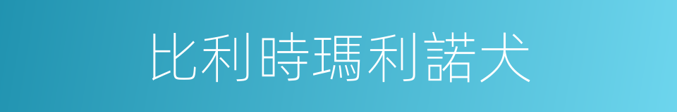 比利時瑪利諾犬的同義詞