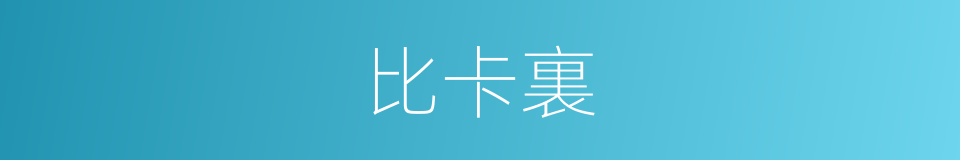 比卡裏的同義詞