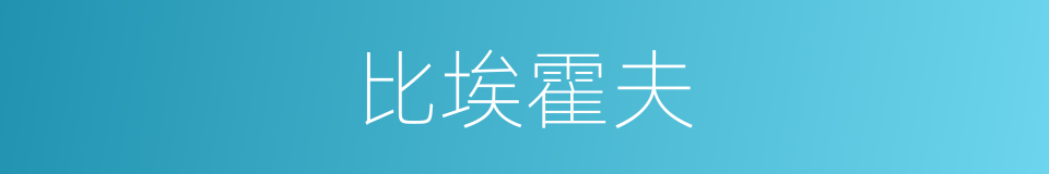比埃霍夫的同义词