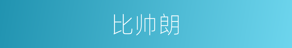 比帅朗的同义词