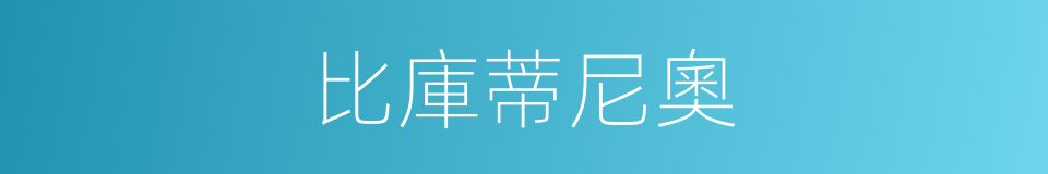 比庫蒂尼奧的同義詞