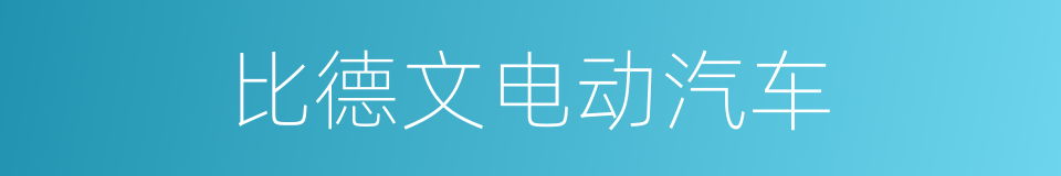 比德文电动汽车的同义词