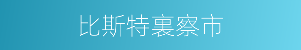 比斯特裏察市的同義詞