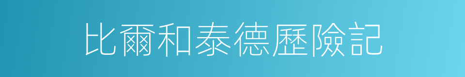 比爾和泰德歷險記的同義詞