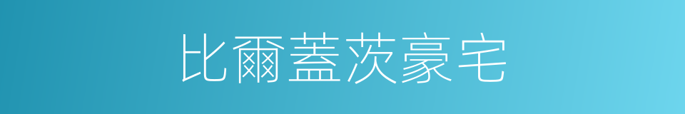 比爾蓋茨豪宅的同義詞