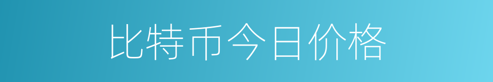 比特币今日价格的同义词