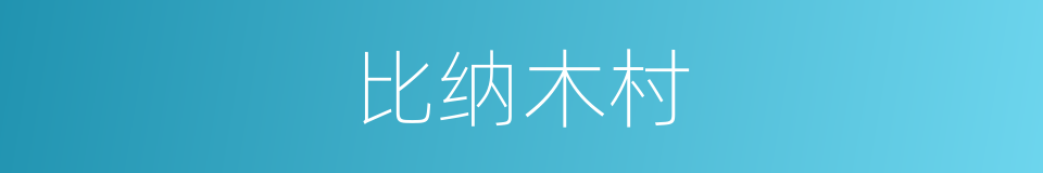 比纳木村的同义词