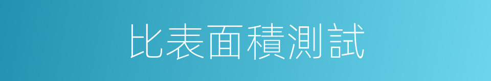 比表面積測試的同義詞