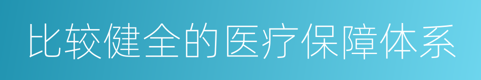 比较健全的医疗保障体系的同义词