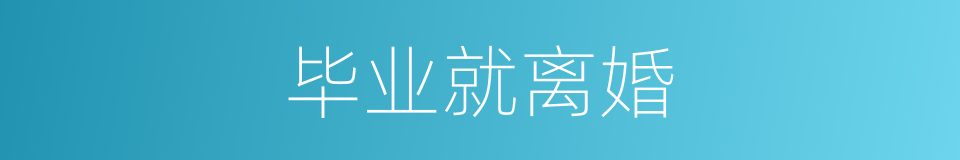毕业就离婚的同义词