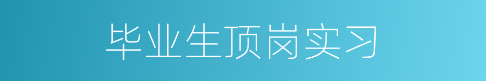 毕业生顶岗实习的同义词