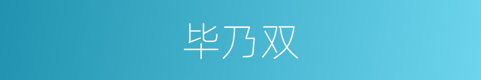 毕乃双的同义词