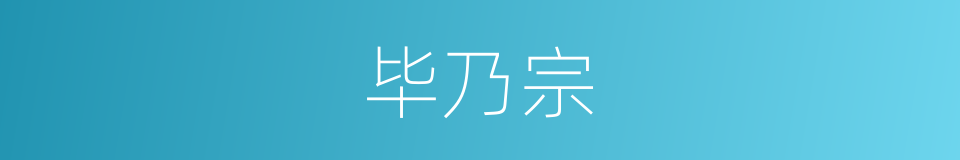 毕乃宗的同义词