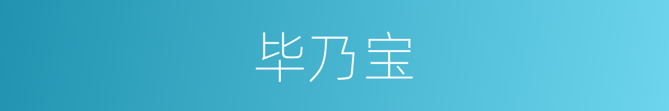 毕乃宝的同义词