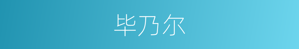 毕乃尔的同义词