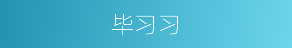 毕习习的同义词