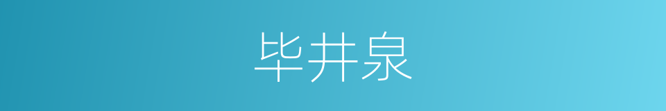 毕井泉的同义词