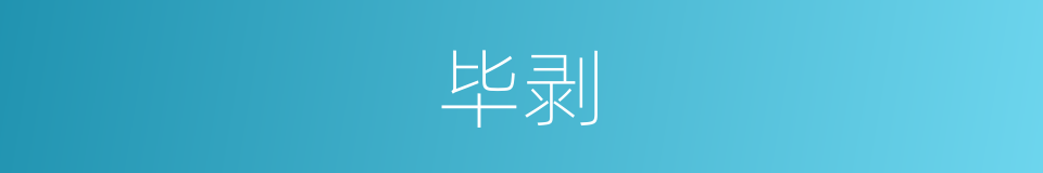 毕剥的意思