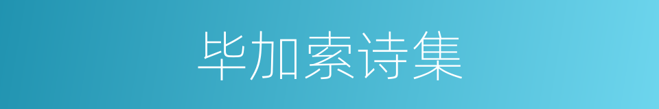 毕加索诗集的同义词