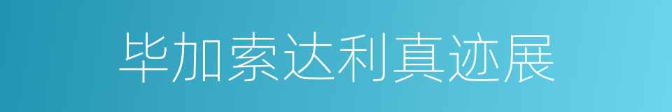 毕加索达利真迹展的同义词