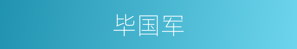 毕国军的同义词