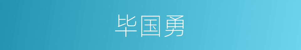 毕国勇的同义词