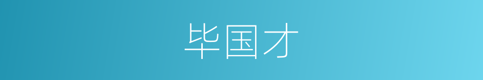 毕国才的同义词