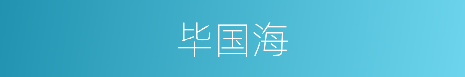 毕国海的同义词