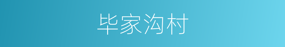 毕家沟村的同义词