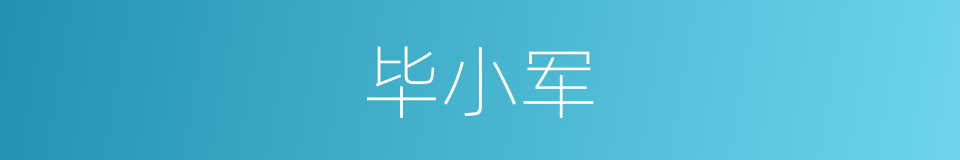 毕小军的同义词