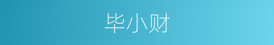 毕小财的同义词