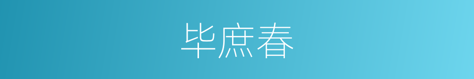 毕庶春的同义词