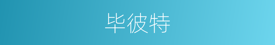 毕彼特的同义词