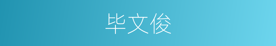 毕文俊的同义词