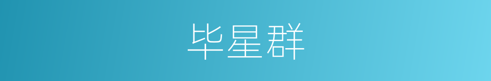 毕星群的同义词