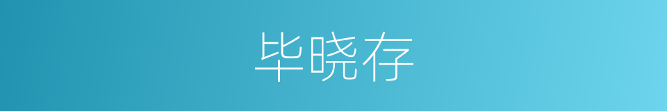 毕晓存的同义词