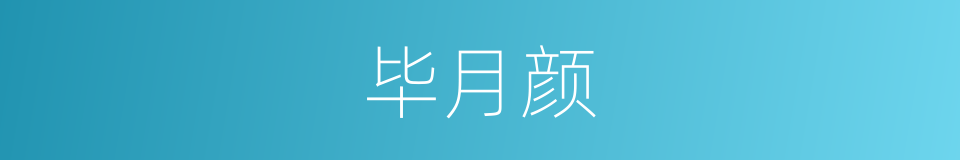 毕月颜的同义词