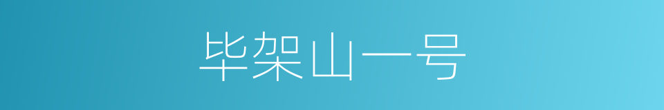 毕架山一号的同义词