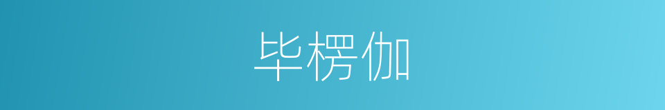 毕楞伽的同义词