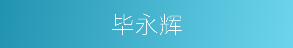 毕永辉的同义词