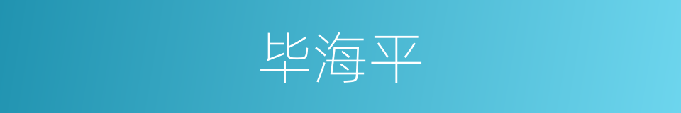 毕海平的同义词