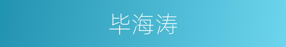 毕海涛的同义词