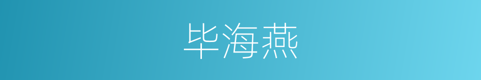 毕海燕的同义词