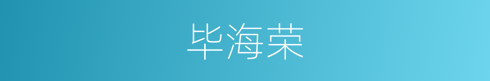 毕海荣的同义词
