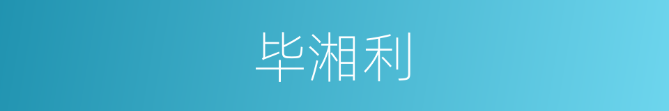毕湘利的同义词