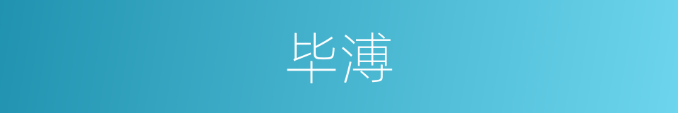 毕溥的同义词